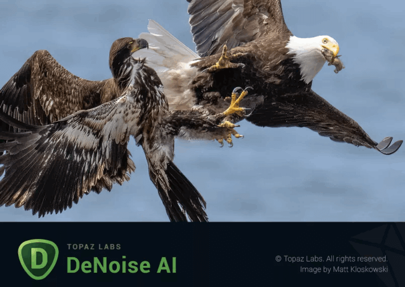 图像降噪软件Topaz DeNoise AI破解版 3.7.2