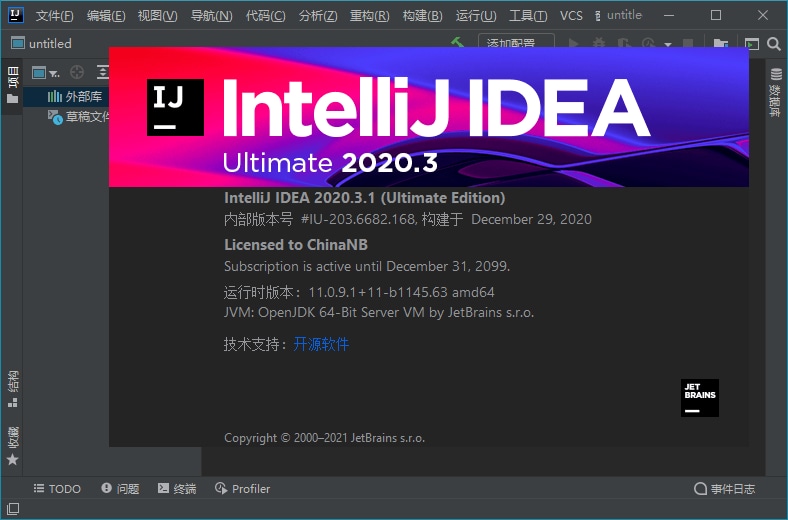 IntelliJ IDEA 2020.3.3 Ultimate 永久旗舰版(图1)