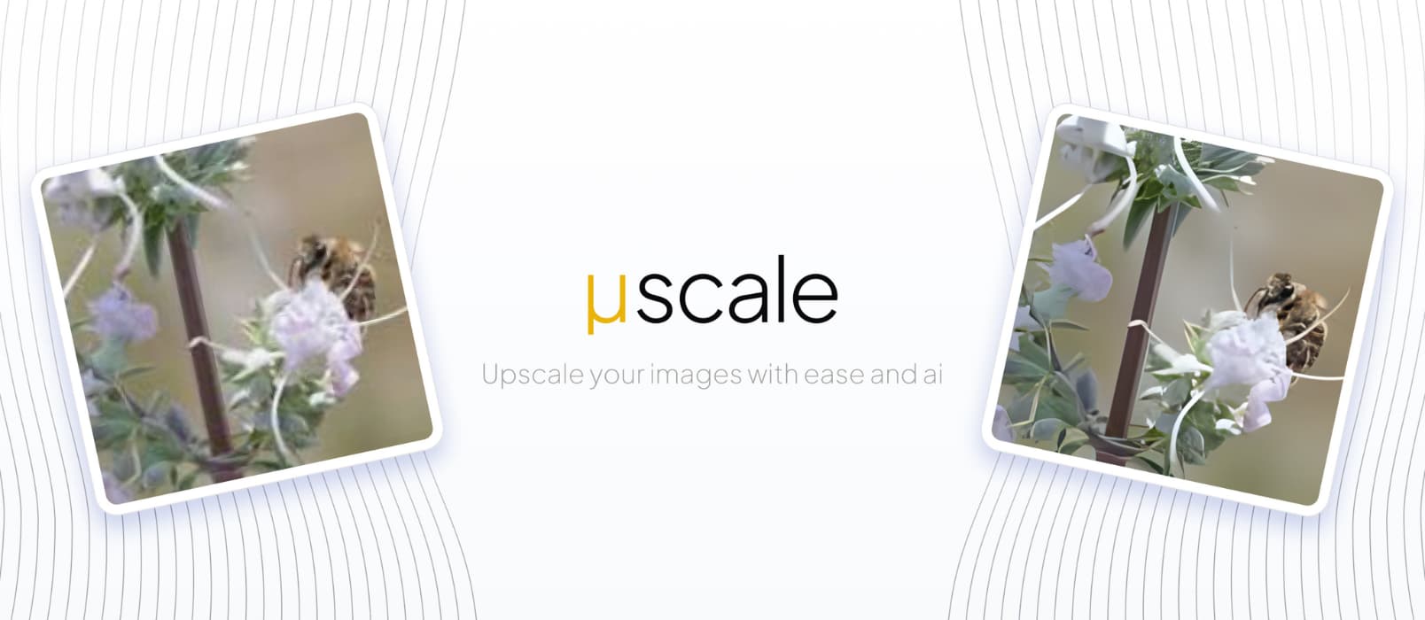 μScale – 利用 AI 算法，将图像放大 4 倍，免费、在线