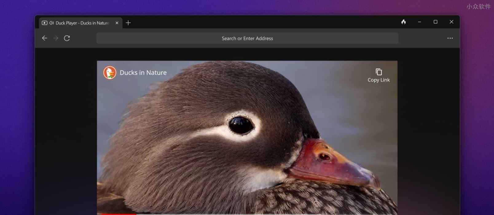 DuckDuckGo 桌面浏览器 Windows 测试版发布，隐私保护优先