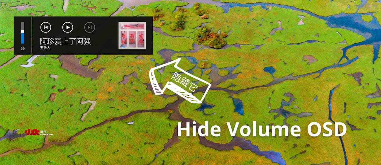 Hide Volume OSD – 隐藏调整音量时 Windows 10 的音乐播放提示
