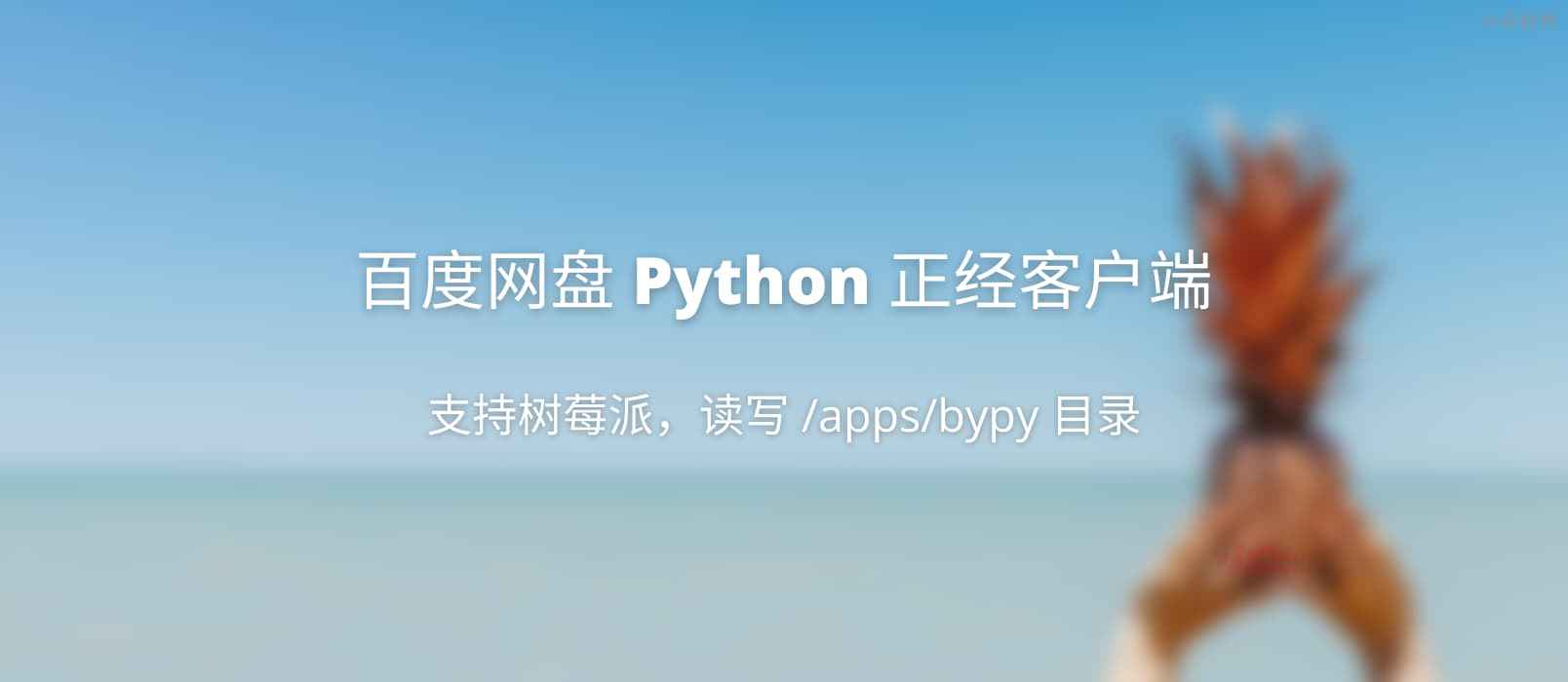 百度网盘 Python 客户端 – 正经客户端，可在树莓派上使用