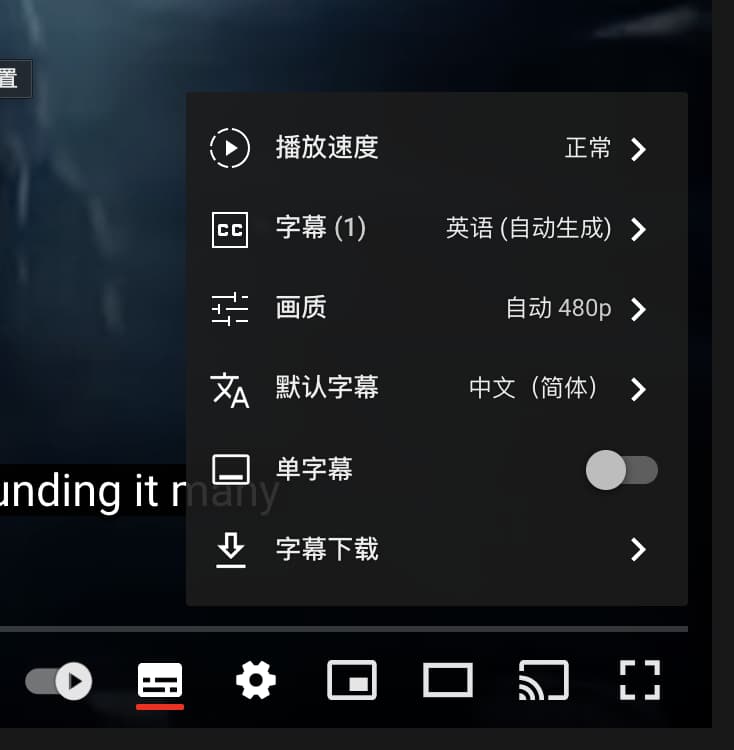 YouTube™ 双字幕 - 显示双语字幕（包括自动翻译）、字幕下载，以及自定义字幕样式[Chrome/Edge] 1