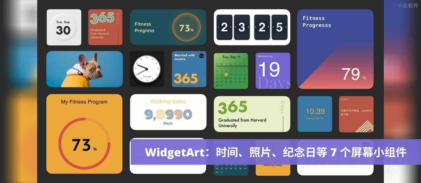 WidgetArt - 时间、照片、纪念日、步数等 7 个漂亮的屏幕小组件[iOS]