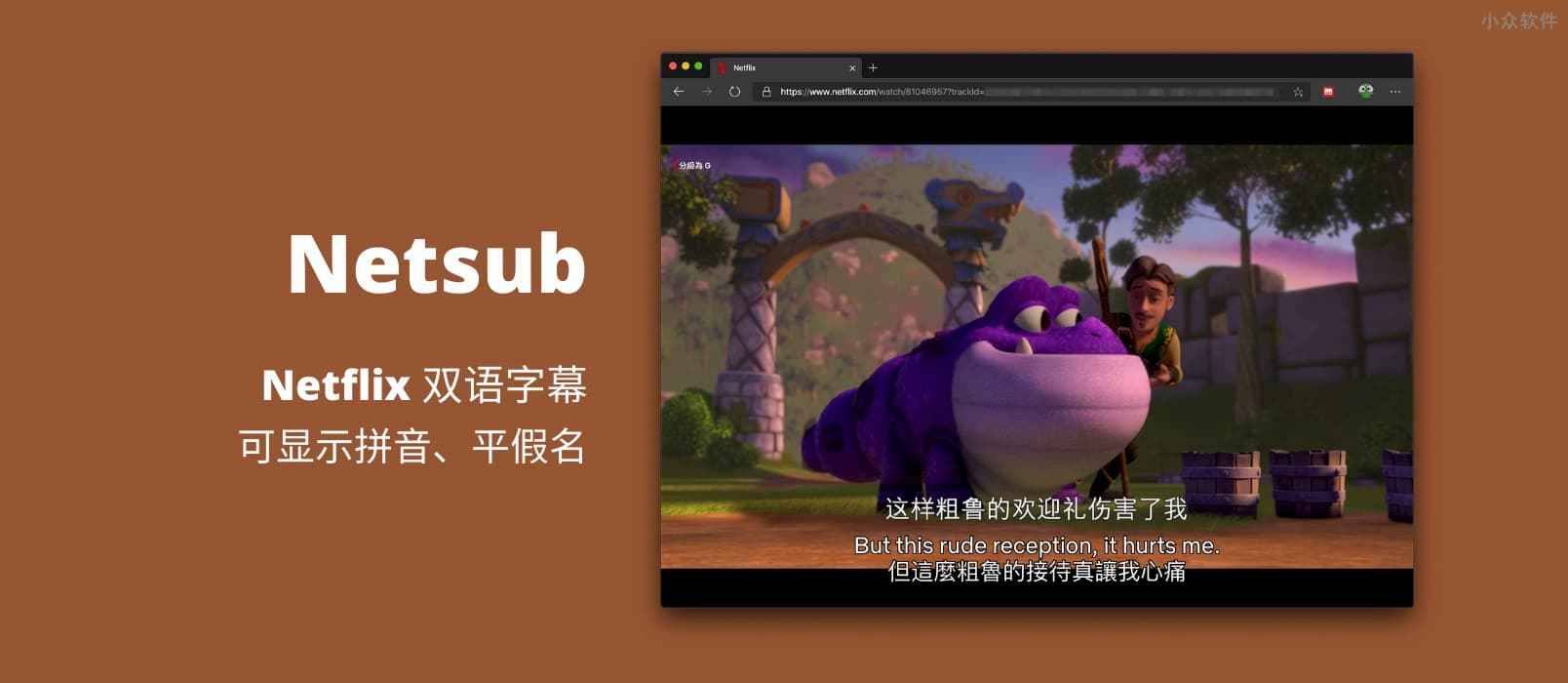 Netsub - 为 Netflix 显示双语字幕，并可显示拼音、平假名用来学习中文、日语[Chrome/Edge] 1