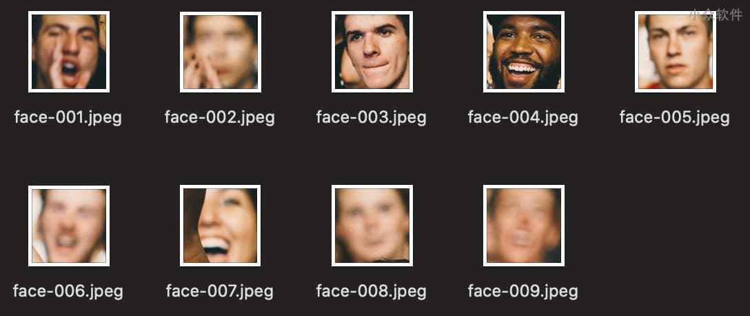 FaceMaze - 人脸识别，从合照中提取每个人的人脸头像 4