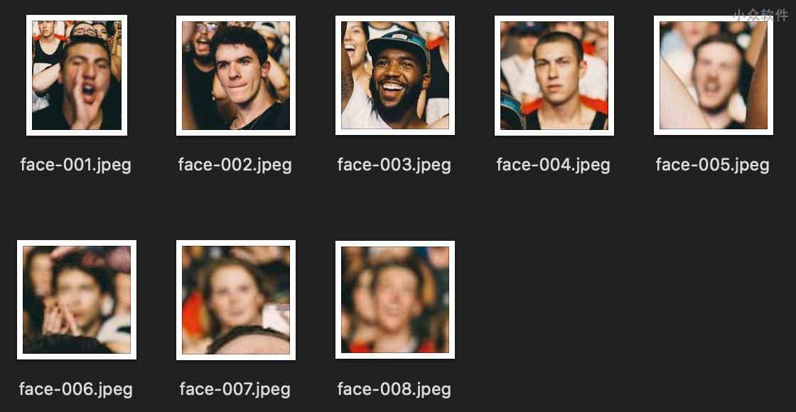 FaceMaze - 人脸识别，从合照中提取每个人的人脸头像 5