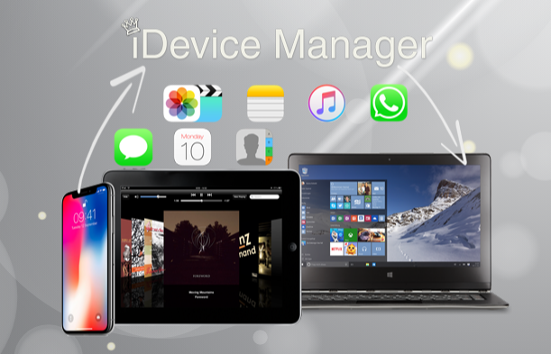 iOS文件管理 iDevice Manager Pro Edition 8.5.0.0