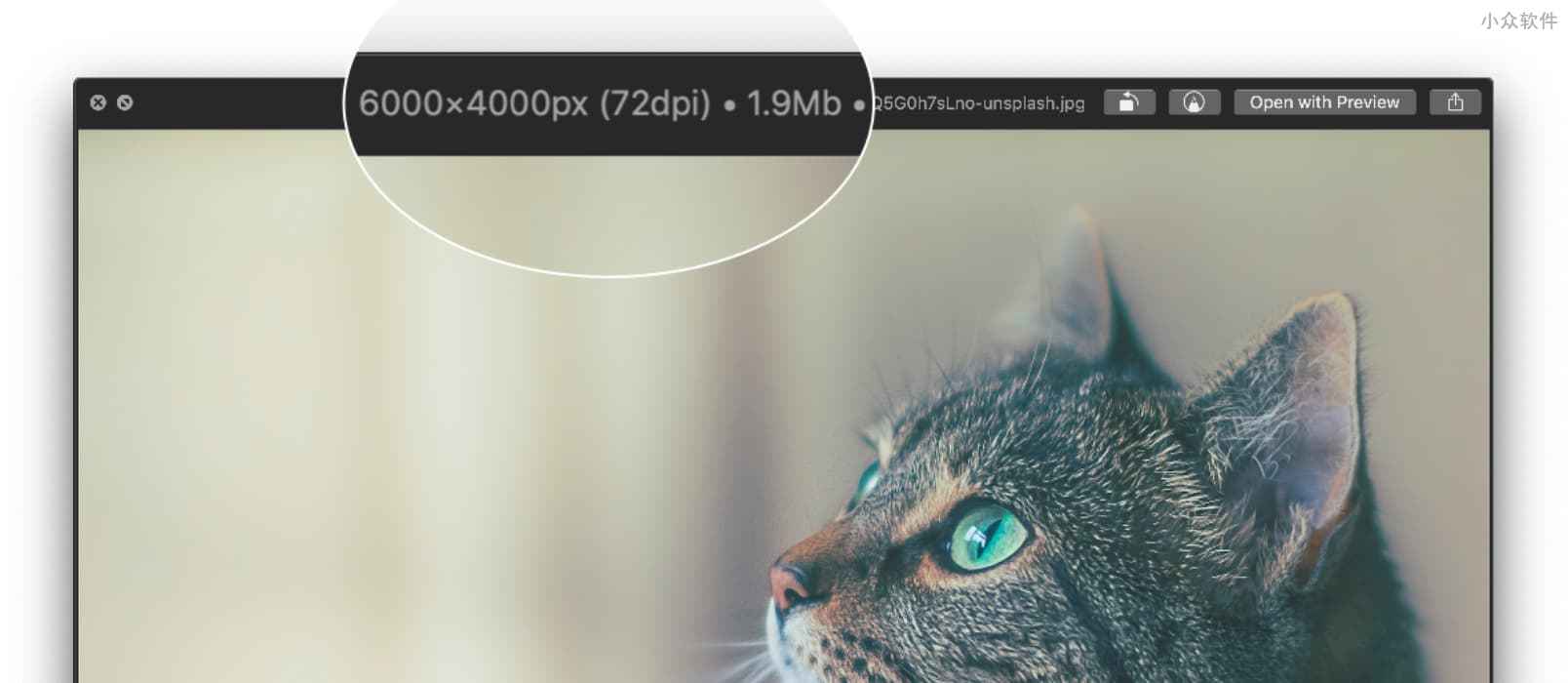 qlImageSize – 在 macOS 预览图片时显示图片尺寸大小