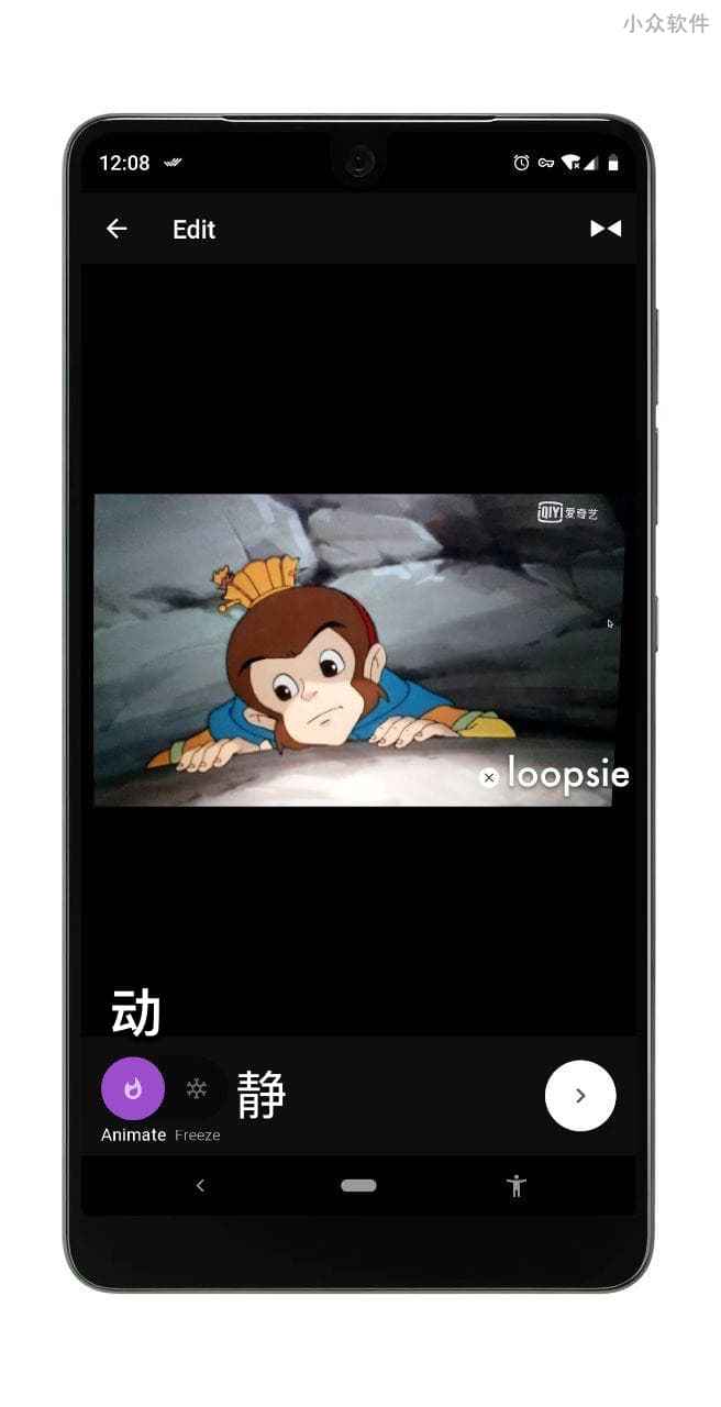 Loopsie - 从视频中制作局部动图，全世界都静止了，只有你会动[iPhone/Android] 3