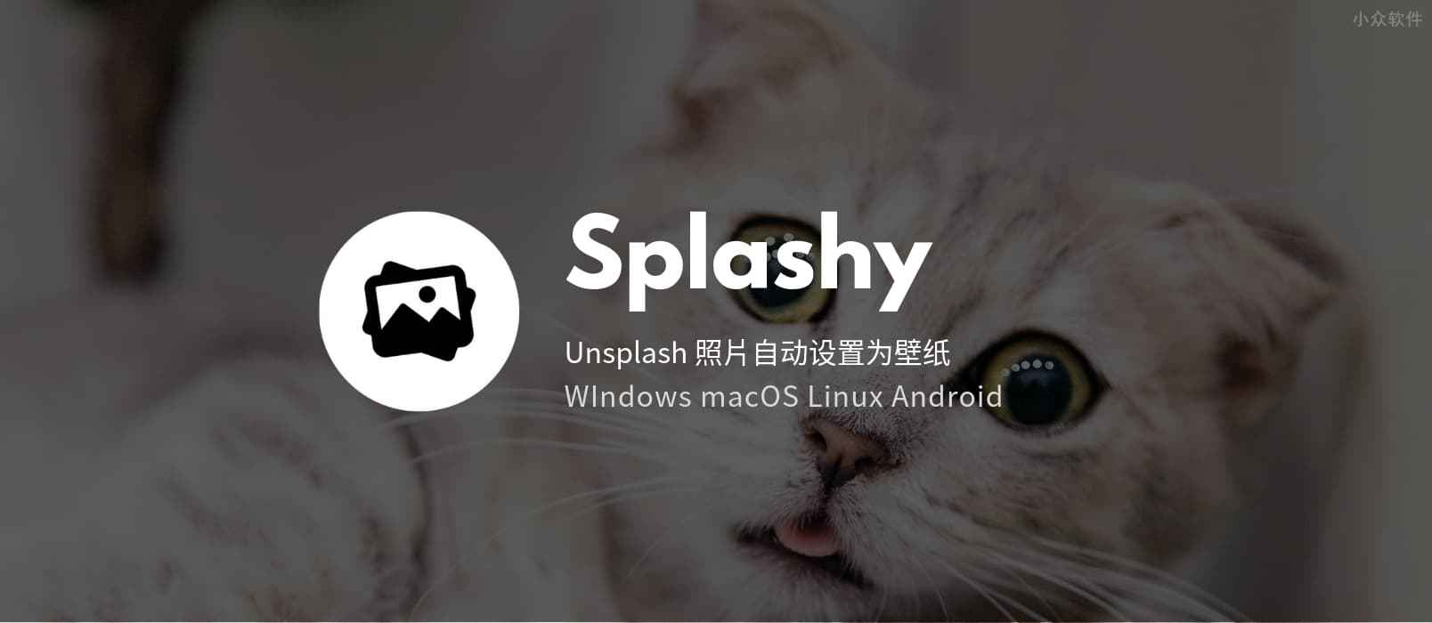 Splashy - 跨平台自动更换 Unsplash 壁纸，极简应用 1