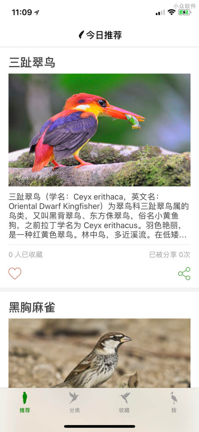 鸟 – 超过 1000 种的鸟类百科大全[iPhone]