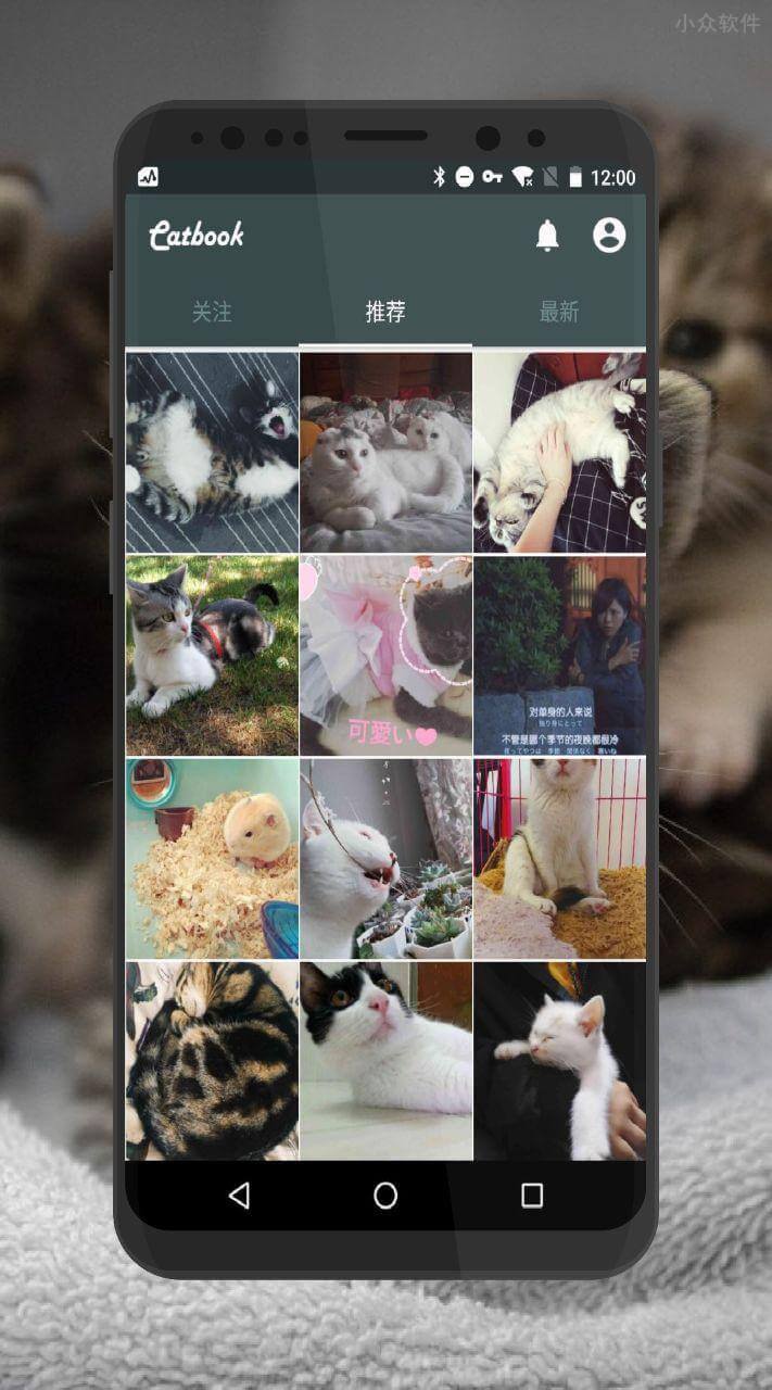 Catbook - 给「猫星人」开个图片博客？ [Android] 1