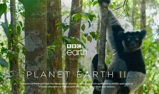 BBC 放出长达 50 小时的高清《地球脉动2》无解说舒缓背景声音版