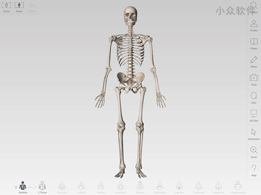 Complete Anatomy - 3D 高清，看遍人体骨骼图[iPad] 2