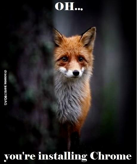 Sad Firefox is sad…