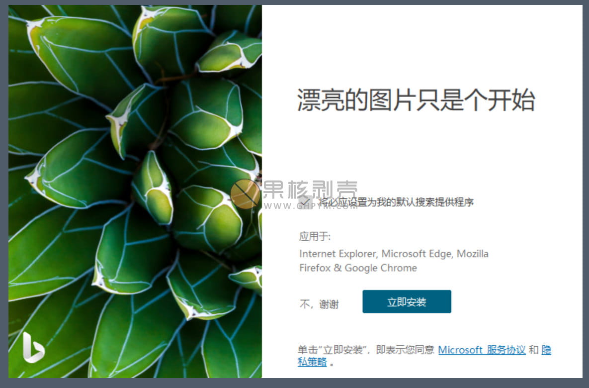 Bing Wallpaper(微软壁纸) v2.0.0.6 中文多语免费版