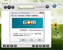 GOM Player V2.1.3.3413 绿色中文美化正式版