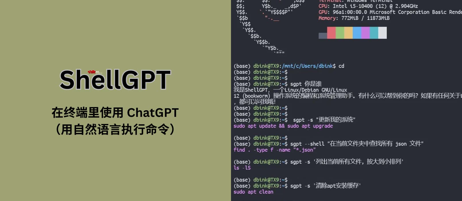 ShellGPT – 在终端里使用 ChatGPT（用自然语言执行命令）：更新我的系统、从大到小列出文件、帮我安装 Docker…
