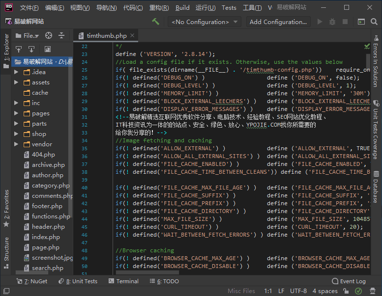 JetBrains Rider 2024.1.0 C语言编辑开发工具中文特别版