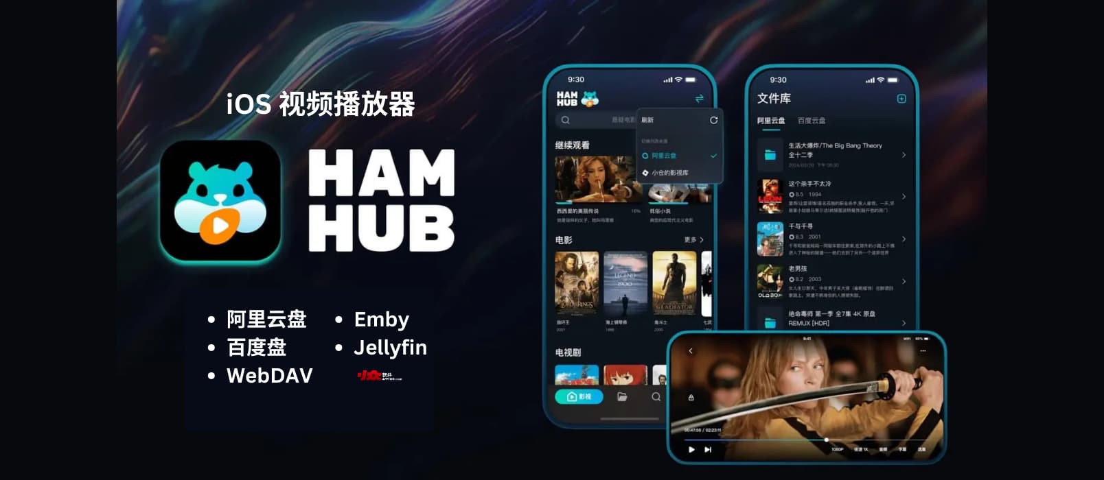 HamHub - iPhone、iPad 上的视频播放器：阿里云盘、百度盘、WebDAV、Emby、Jellyfin