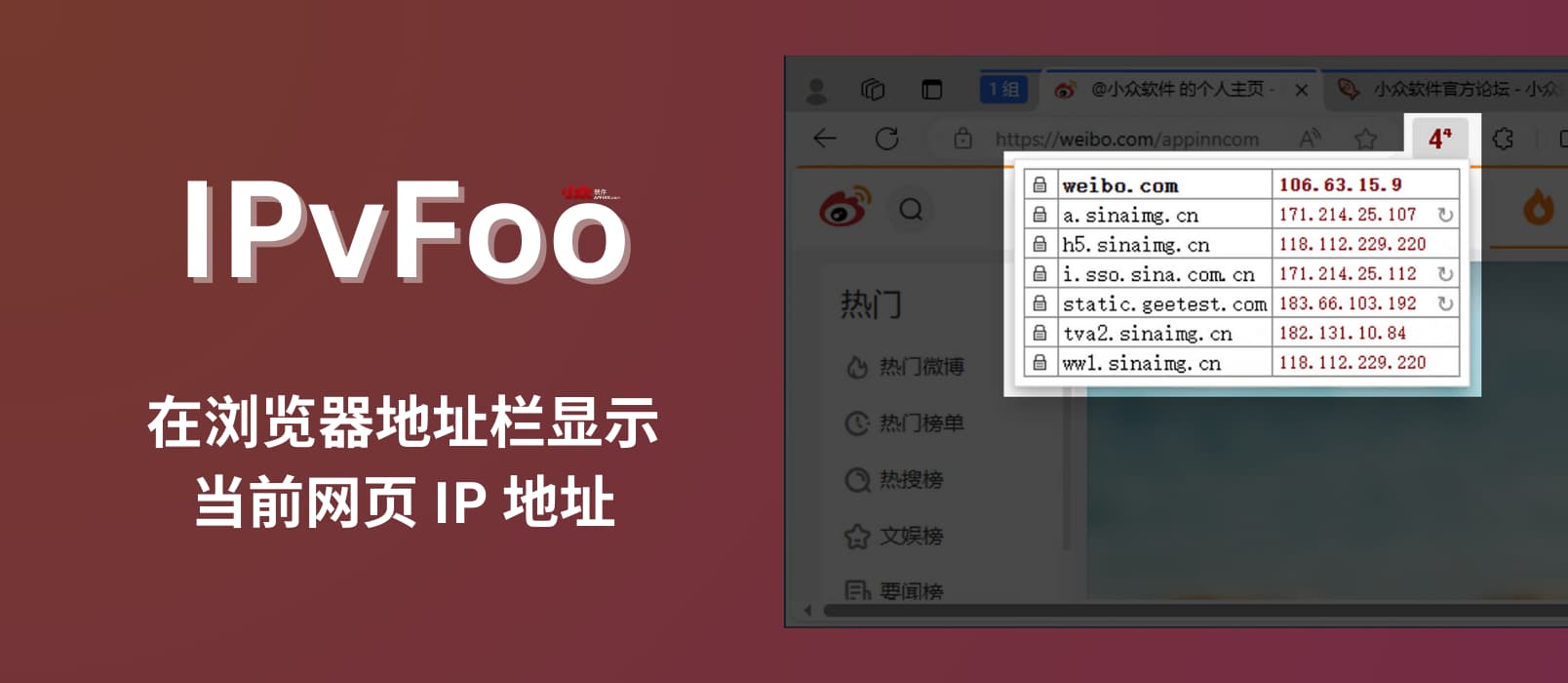 IPvFoo – 在浏览器地址栏显示当前网页 IP 地址[Chrome/Firefox]