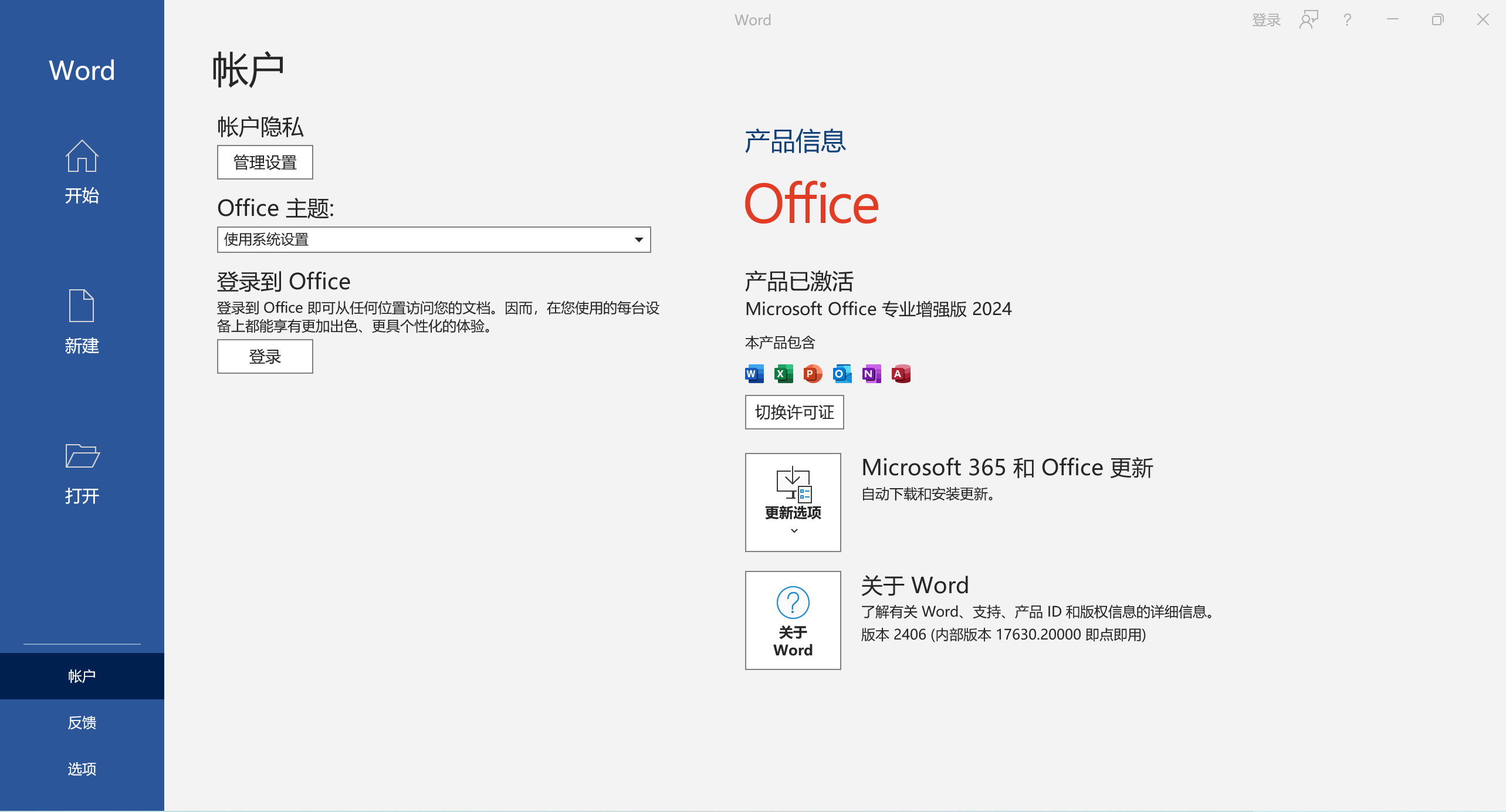 办公软件微软 Office 2024 Visio.Project 2024 预发布正式版 v16.0.17630.20000