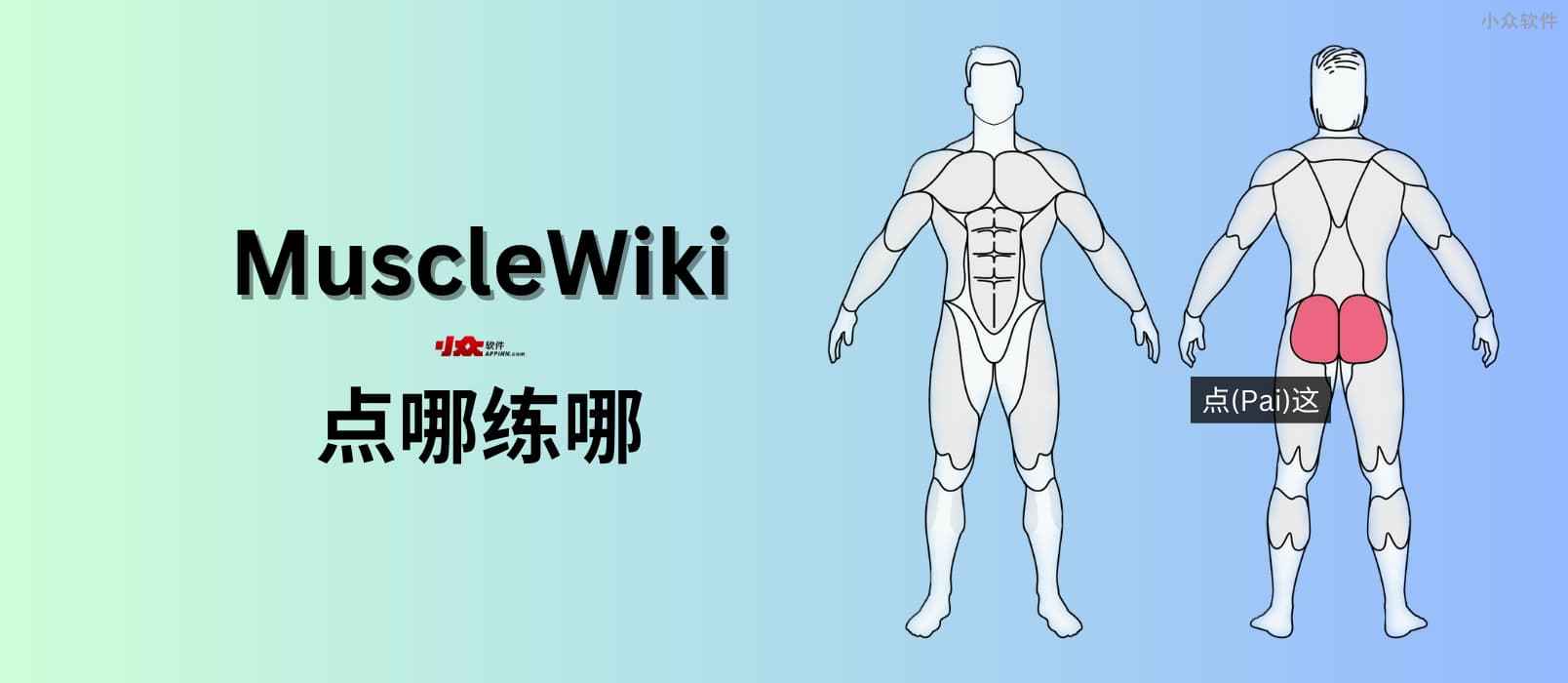 MuscleWiki - 点哪练哪，免费视频健身指南