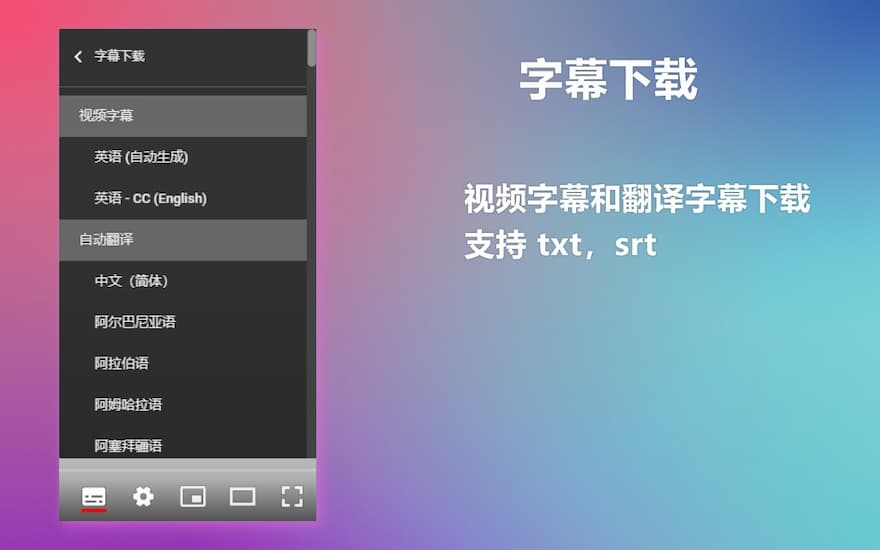 YouTube™ 双字幕 - 显示双语字幕（包括自动翻译）、字幕下载，以及自定义字幕样式[Chrome/Edge] 2