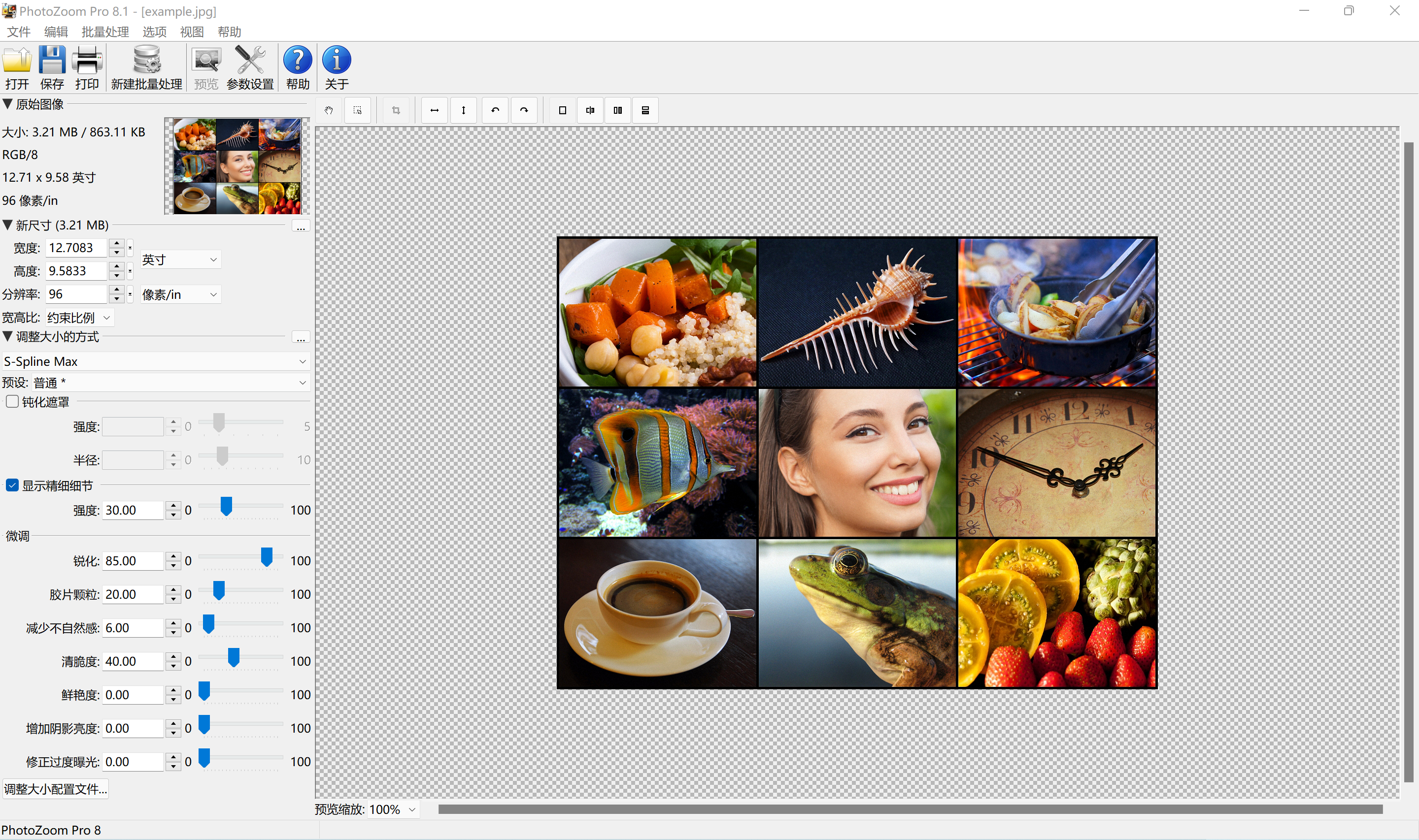 图像无损放大 PhotoZoom Pro v8.1.0 for Windows/ v7.1 Mac