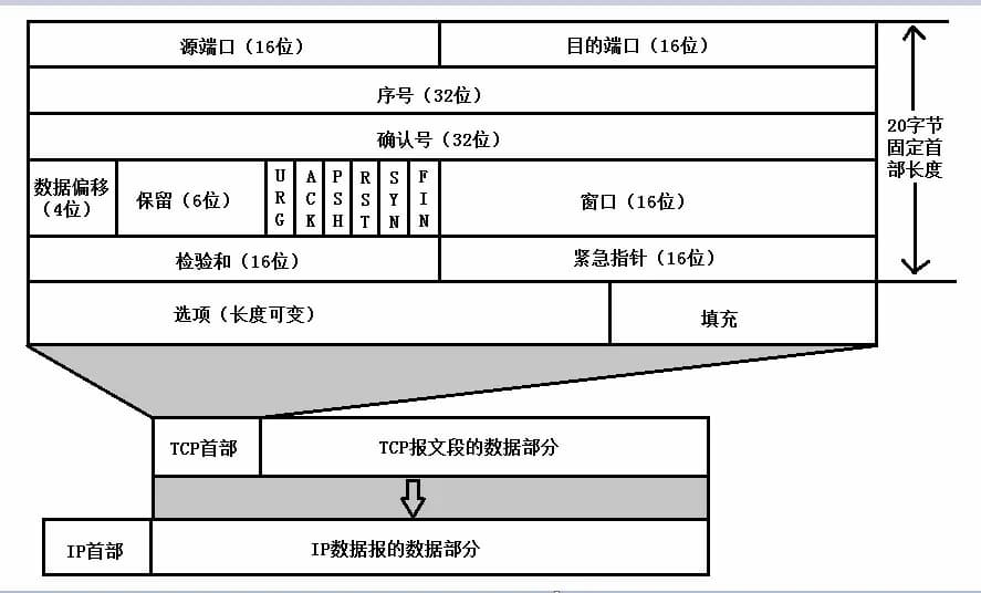 【白话科普】上网时遇到的 404 是什么意思？ 4