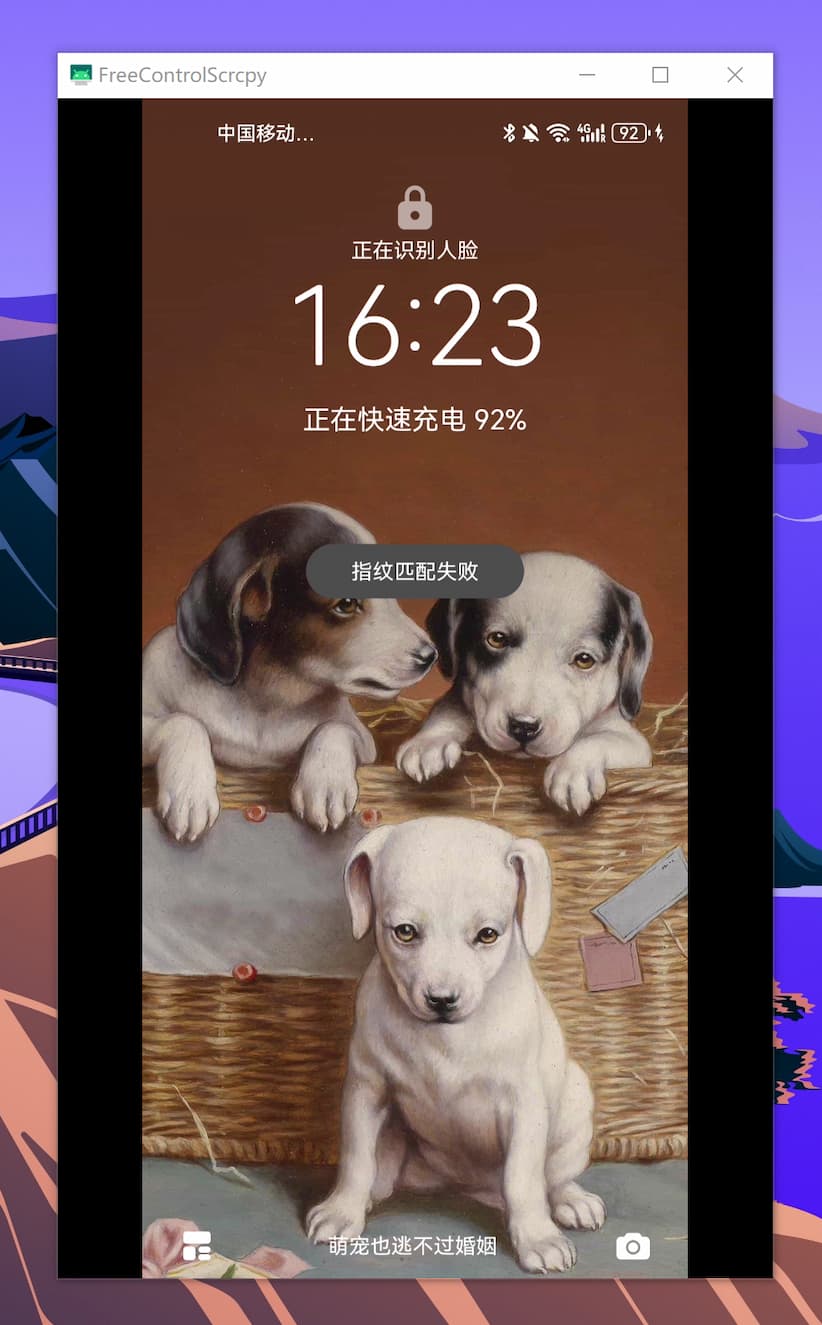 Free Control - 基于 Scrcpy，使用 Windows 控制安卓手机 2