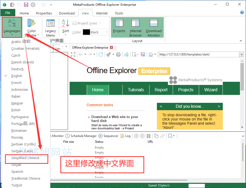 Offline Explorer