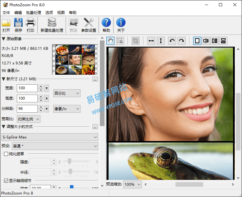 PhotoZoom Pro 8